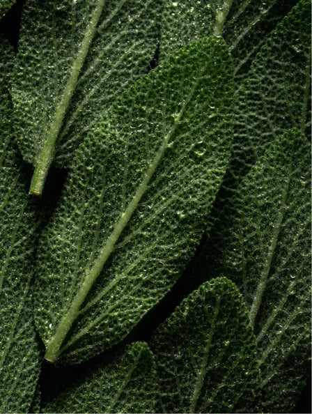 Prebiotic Balance Face Mist